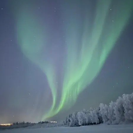 Arctic Amalie Huvilat