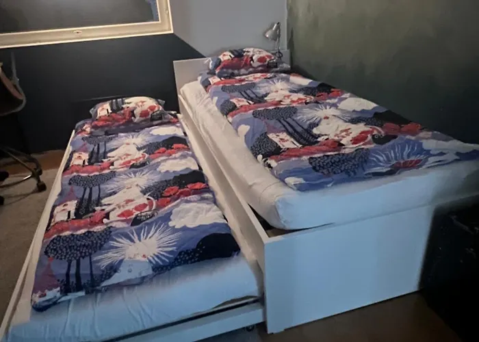 Arctic Amalie Ροβανιέμι